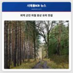 시애틀 수변 총기 사건 퇴역 군인 해럴드 파월에 대한 중상 유죄 판결