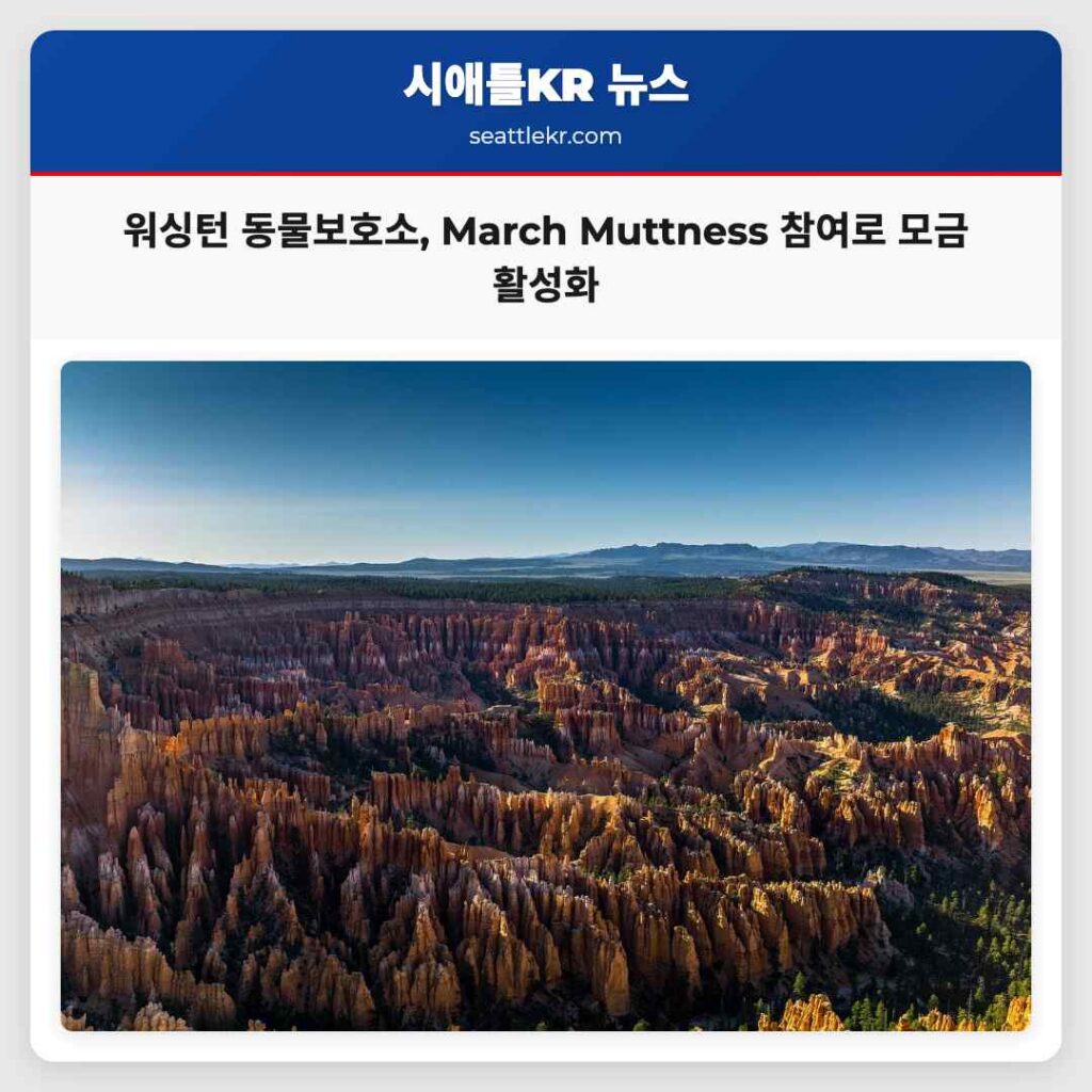 워싱턴 동물보호소, March Muttness 참여로 모금 활성화
