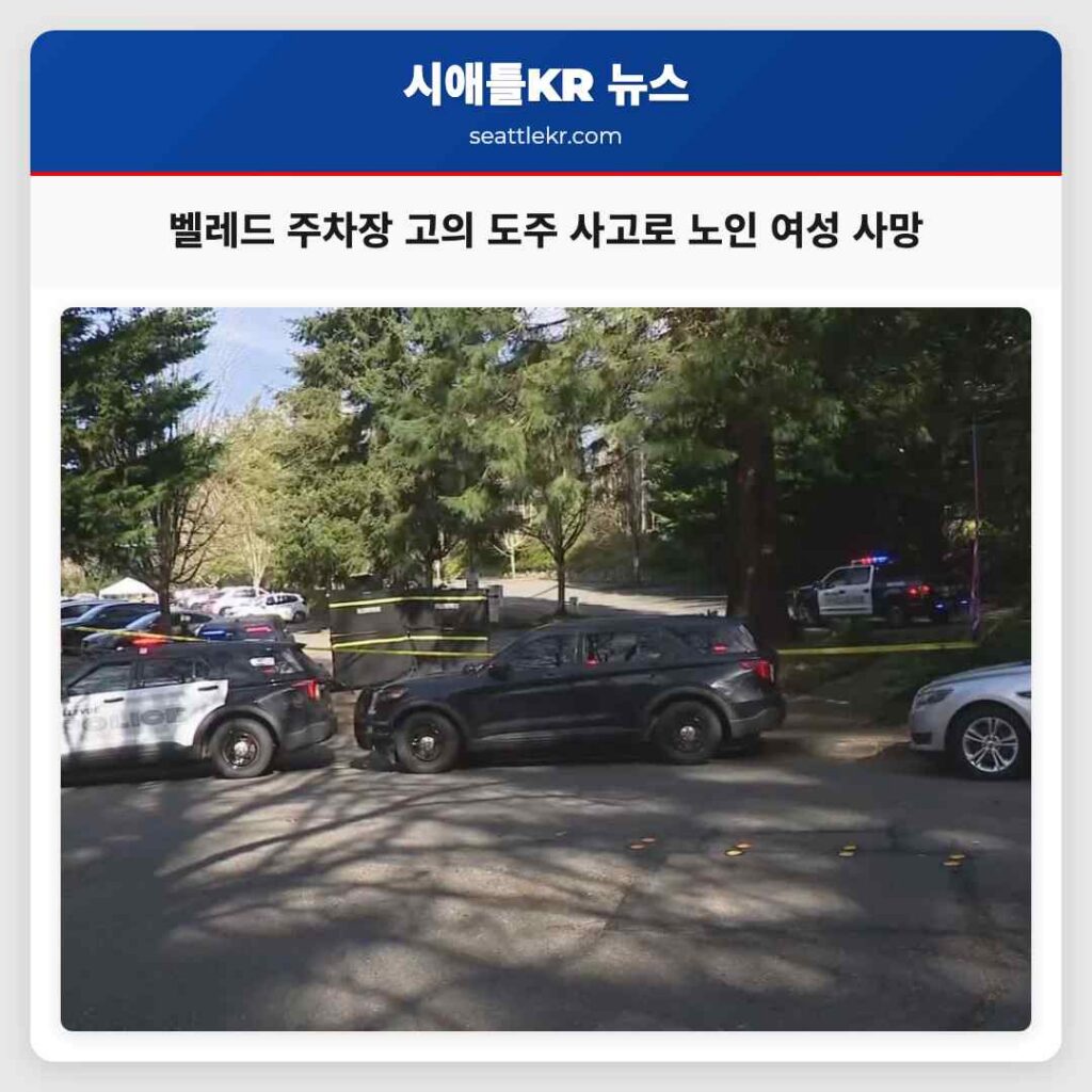 벨레드 주차장 고의 도주 사고로 노인 여성 사망