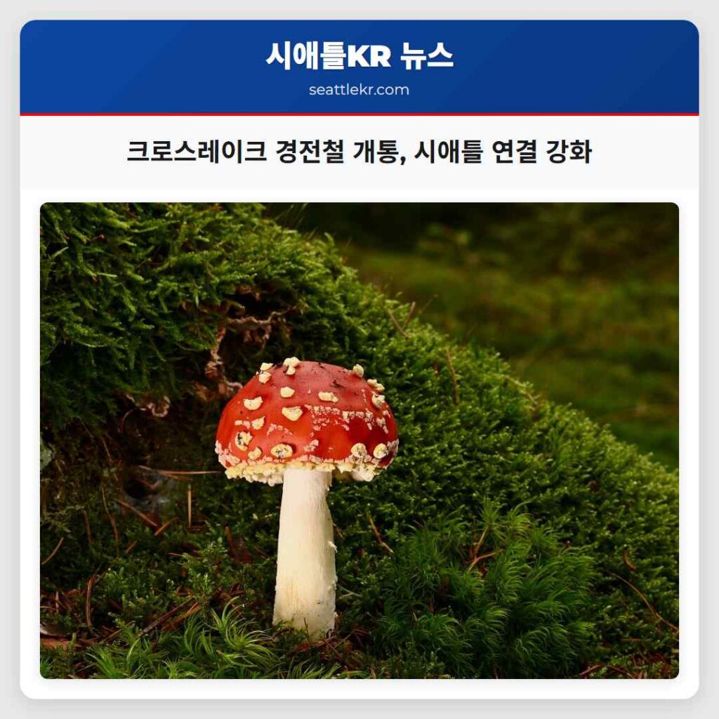 크로스레이크 경전철 개통, 시애틀 연결 강화