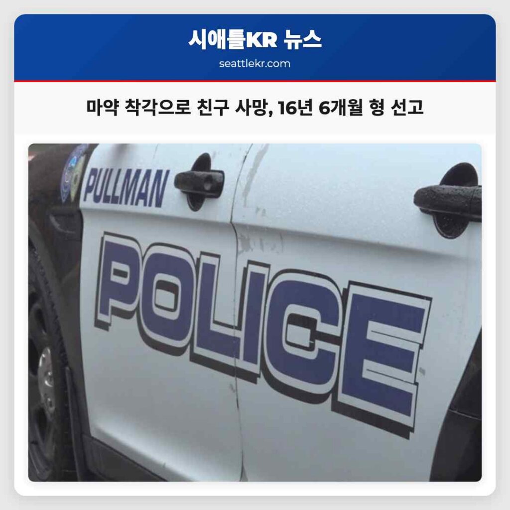 마약 착각으로 친구 사망, 16년 6개월 형 선고
