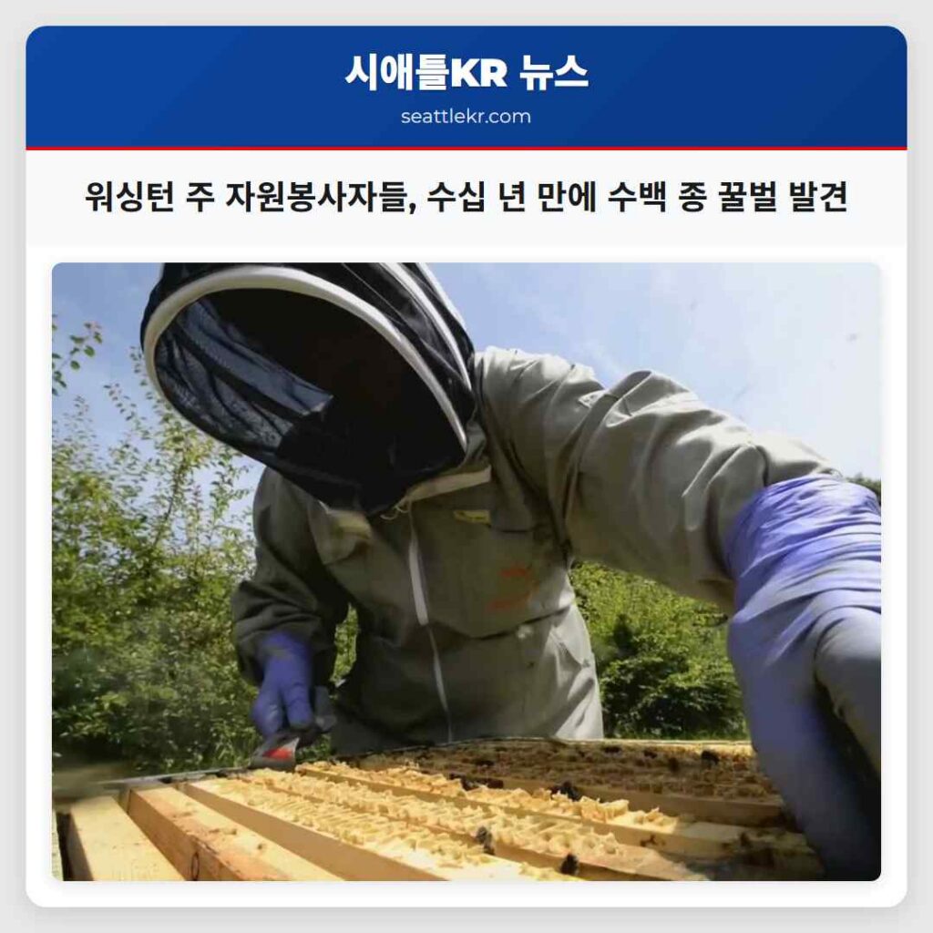 워싱턴 주 자원봉사자들, 수십 년 만에 수백 종 꿀벌 발견