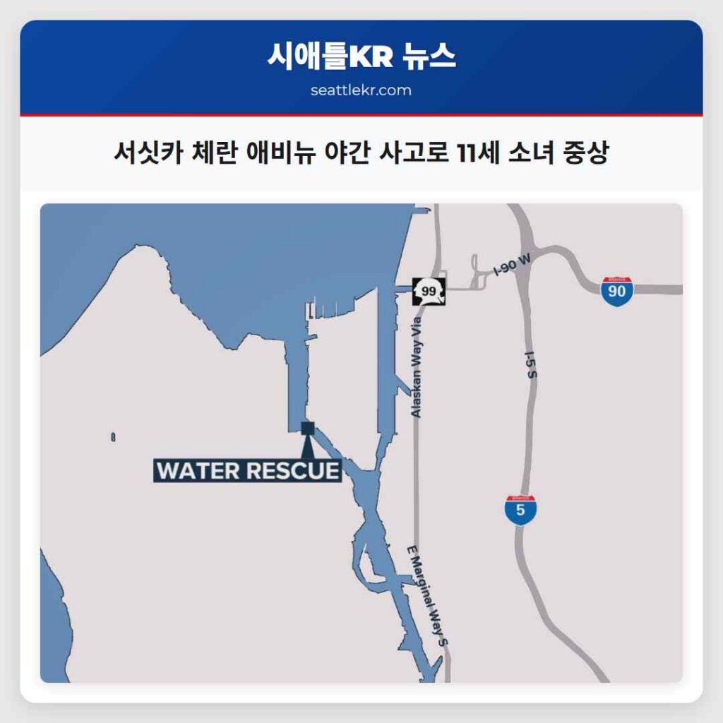 서싯카 체란 애비뉴 야간 사고로 11세 소녀 중상