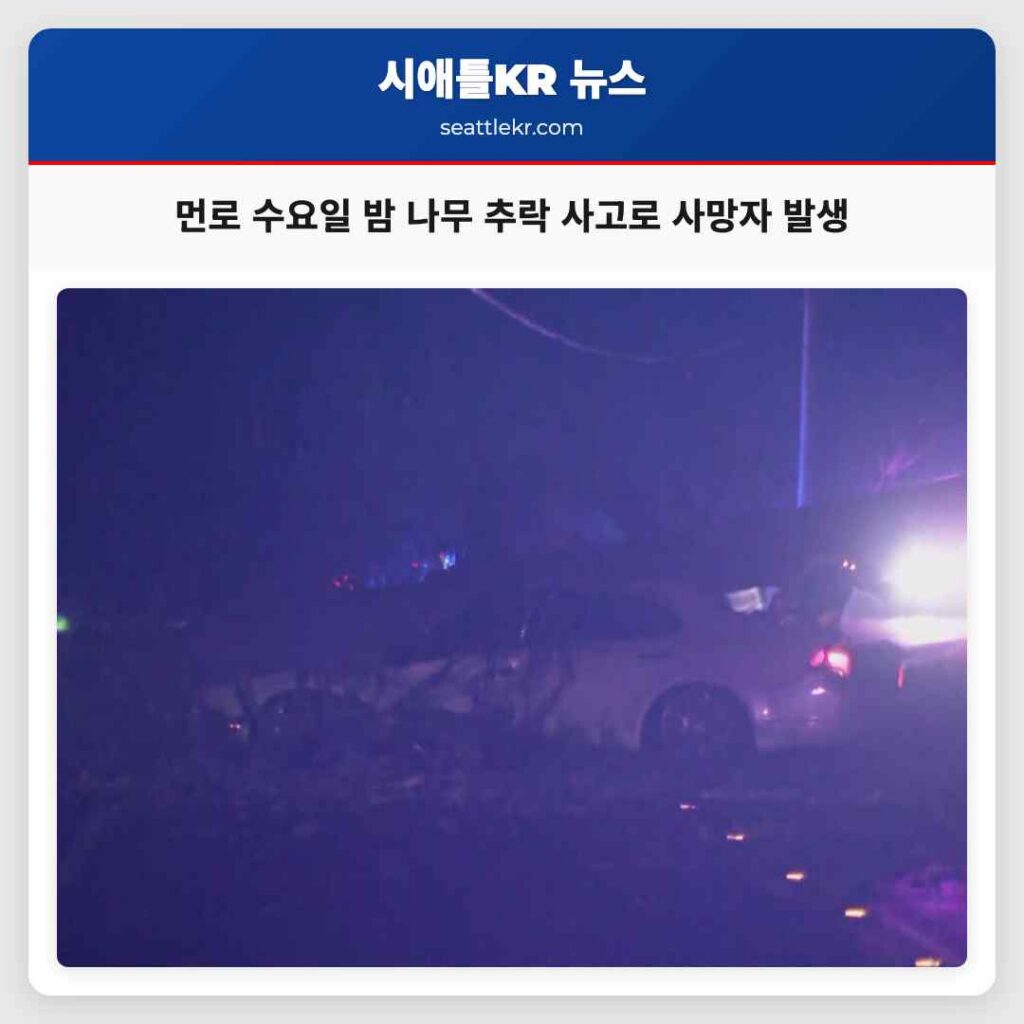 먼로 수요일 밤 나무 추락 사고로 사망자 발생