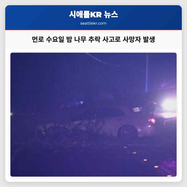 먼로 지역 수요일 밤 대형 나무 추락으로 차량 피해 발생 및 사망자 발생