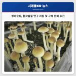 킹카운티 자연 발생 환각물질 연구 지원 및 규제 완화 추진 지역 정신 건강 개선 움직임 확산