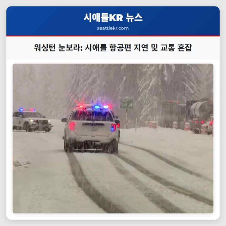 주말 눈보라 영향 시애틀 및 주변 지역 실시간 업데이트