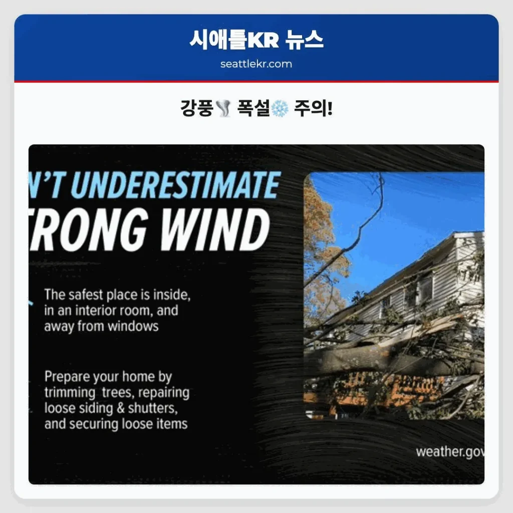 강풍🌪️ 폭설❄️ 주의!