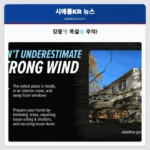 강풍🌪️ 폭설❄️ 주의!
