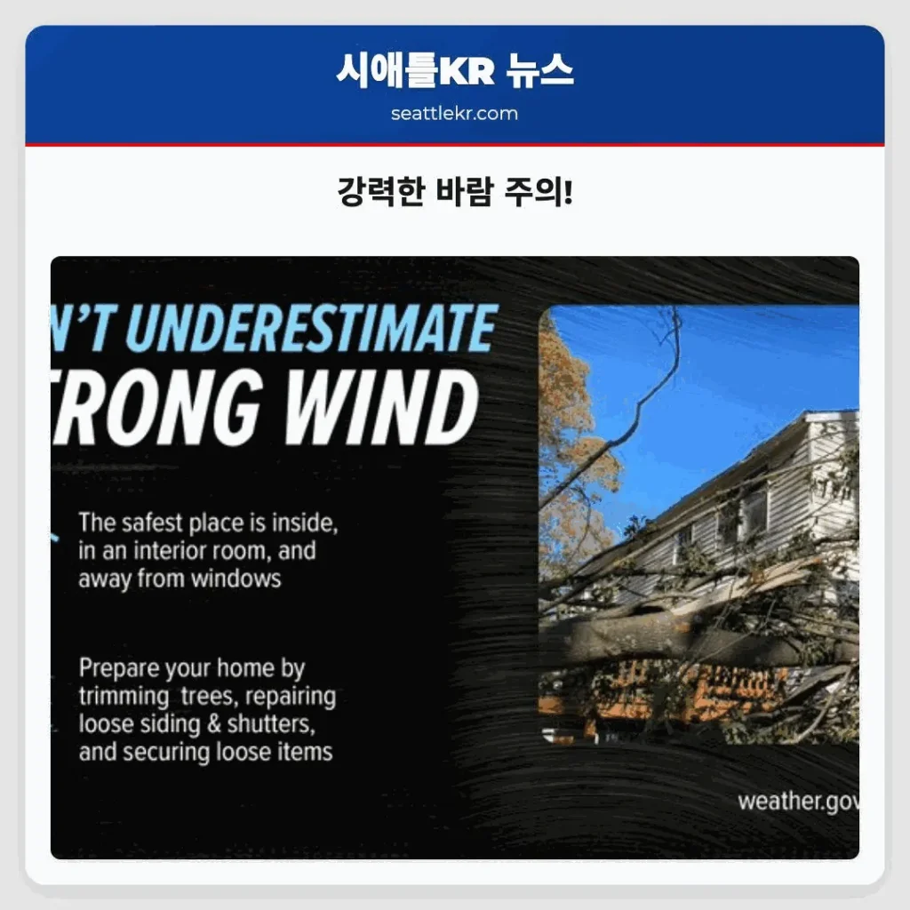 강력한 바람 주의!