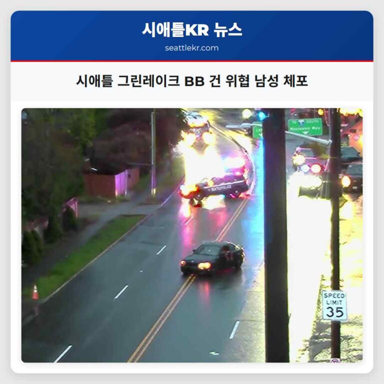 시애틀 그린레이크 BB 건 위협 남성 체포