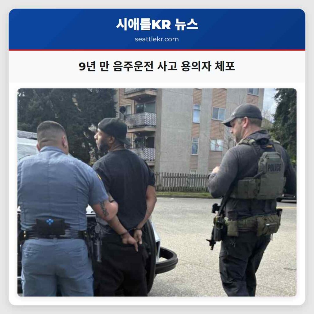 9년 만 음주운전 사고 용의자 체포