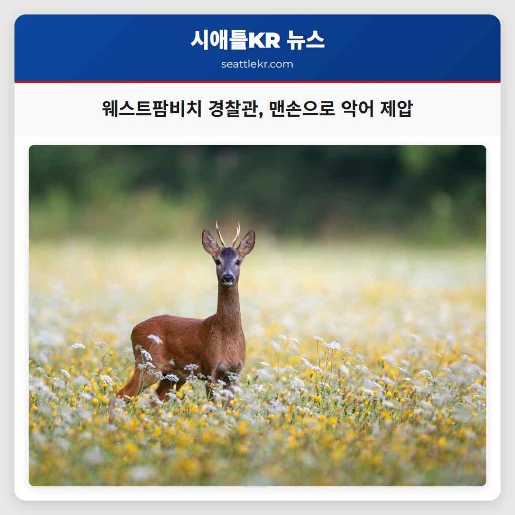 웨스트팜비치 경찰관, 맨손으로 악어 제압