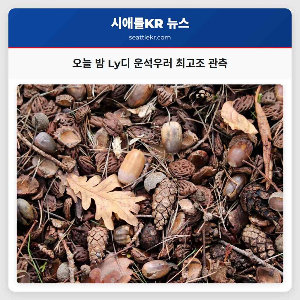 오늘 밤 Ly디 운석우러 최고조 관측