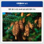 켄트 총기 사건 34세 남성 살인 혐의 기소