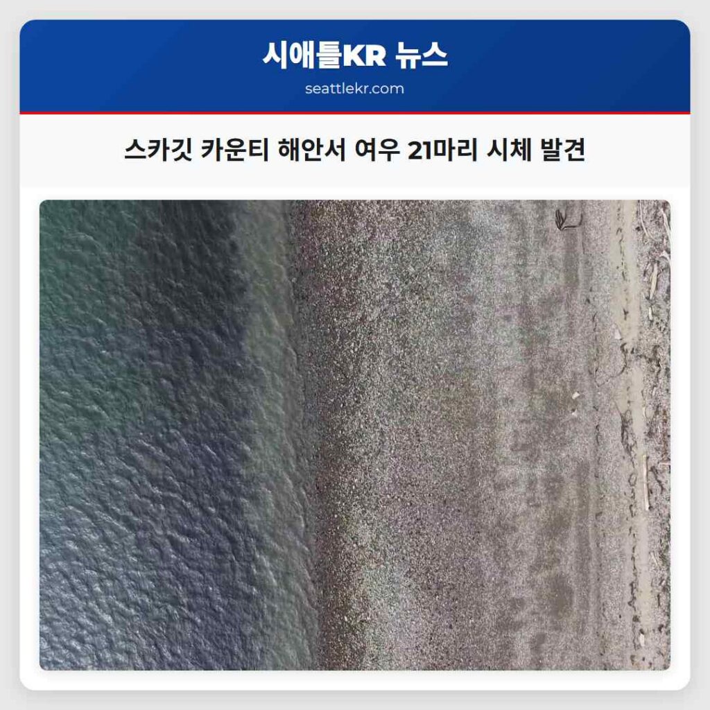 스카깃 카운티 해안서 여우 21마리 시체 발견