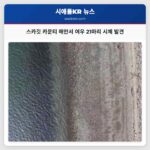 워싱턴 스카깃 카운티 해안에서 21마리 여우 시체 발견 책임자 법적 처벌 가능성 낮아