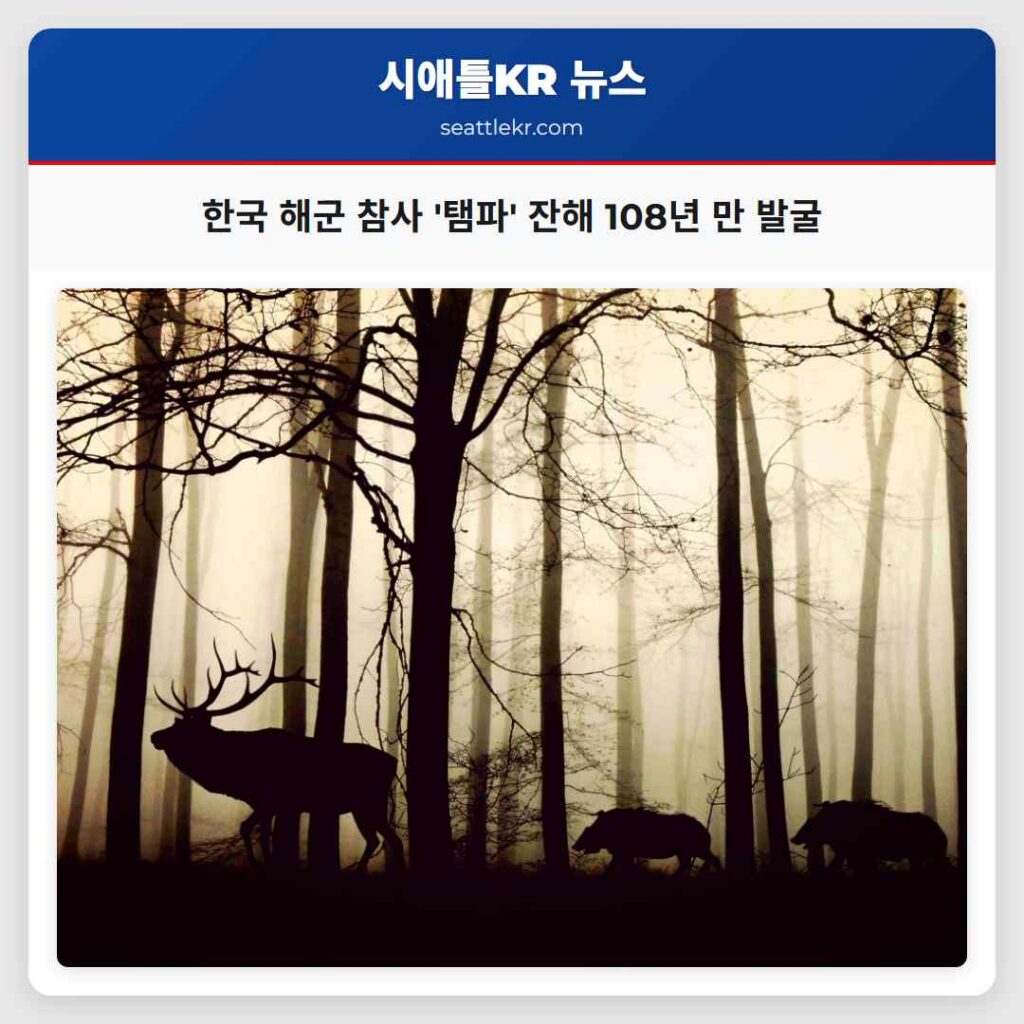 한국 해군 참사 '탬파' 잔해 108년 만 발굴