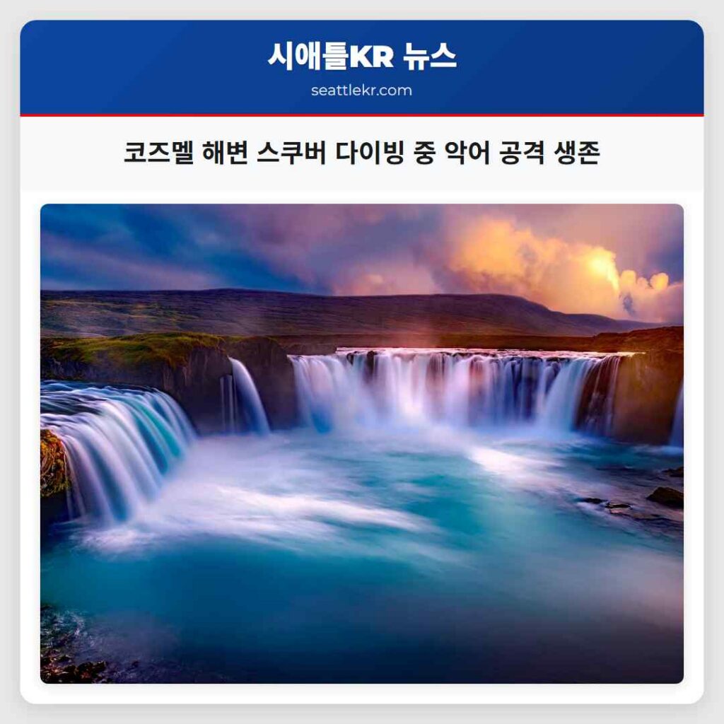 코즈멜 해변 스쿠버 다이빙 중 악어 공격 생존