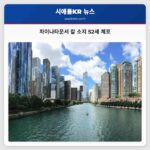 차이나타운서 칼 소지 52세 체포