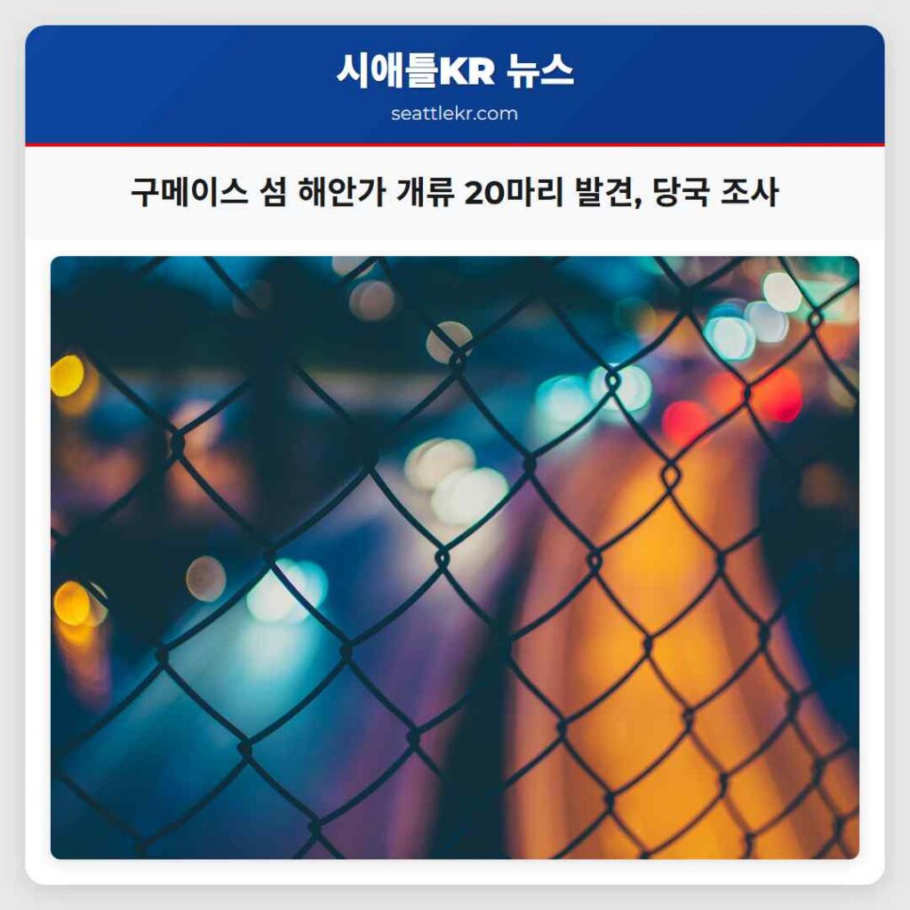 구메이스 섬 해안가 개류 20마리 발견, 당국 조사