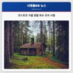 코스트코 가열 양말 회수 조치 시행