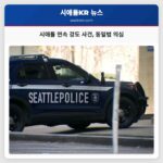 시애틀 연속 강도 사건 동일범 의심