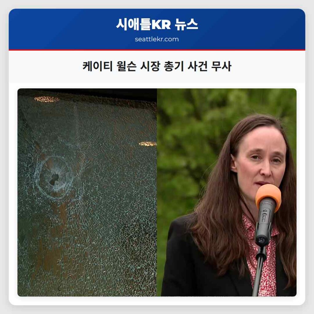 케이티 윌슨 시장 총기 사건 무사