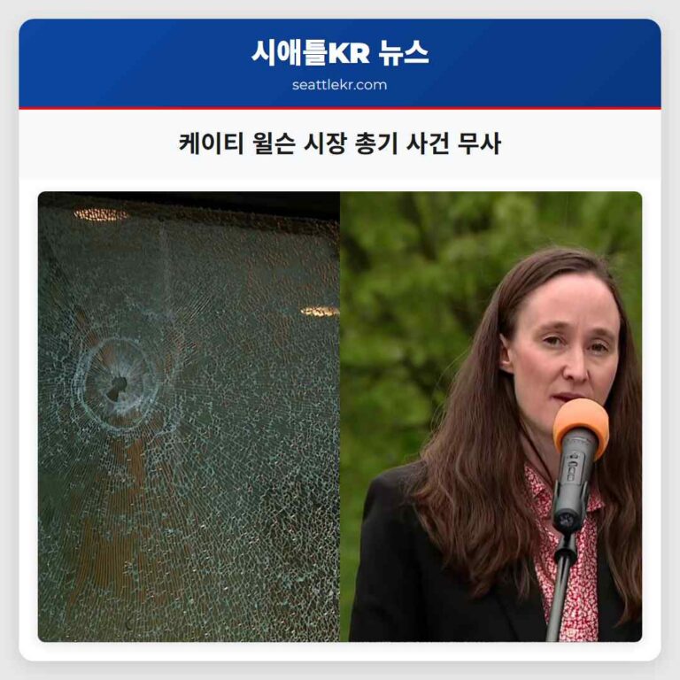 케이티 윌슨 시장 총기 사건 무사