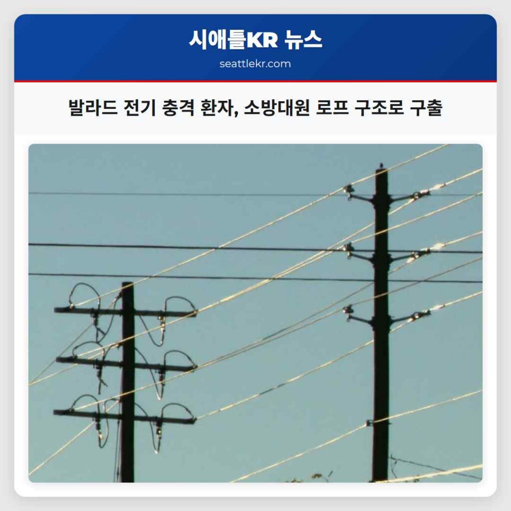 발라드 전기 충격 환자, 소방대원 로프 구조로 구출