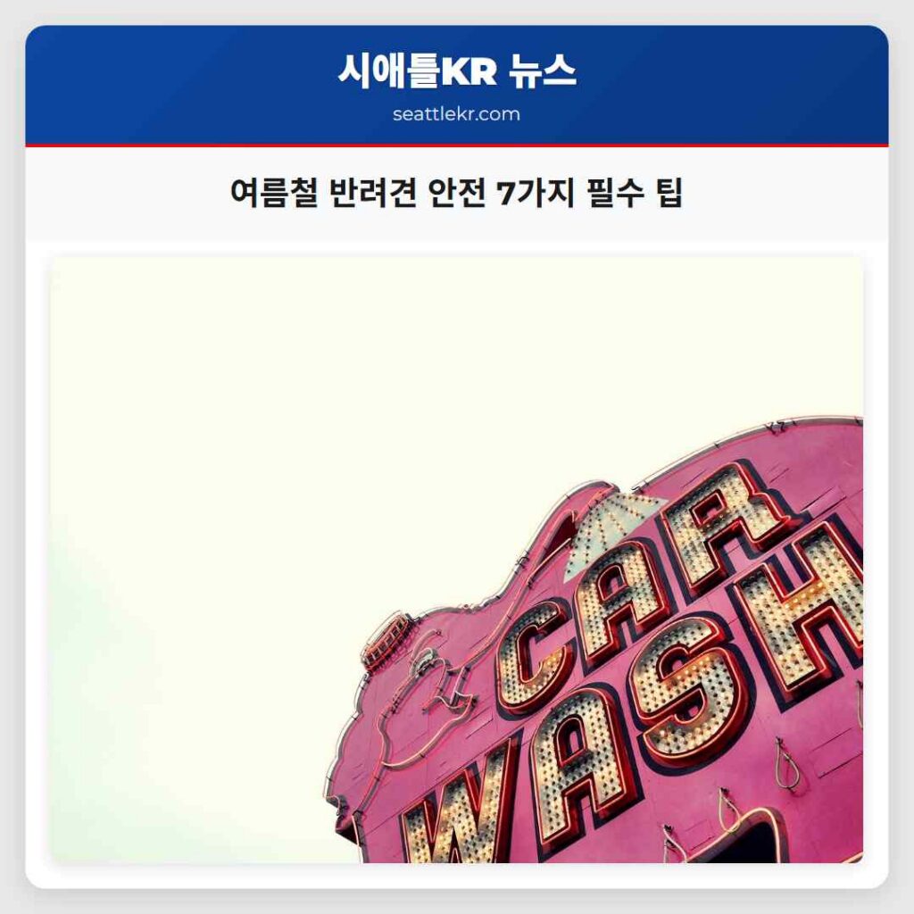 여름철 반려견 안전 7가지 필수 팁