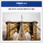 밀턴 퍼시픽 고속도로서 흰색 허스키 발견