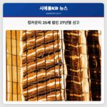 킹카운티 25세 범인 27년형 선고