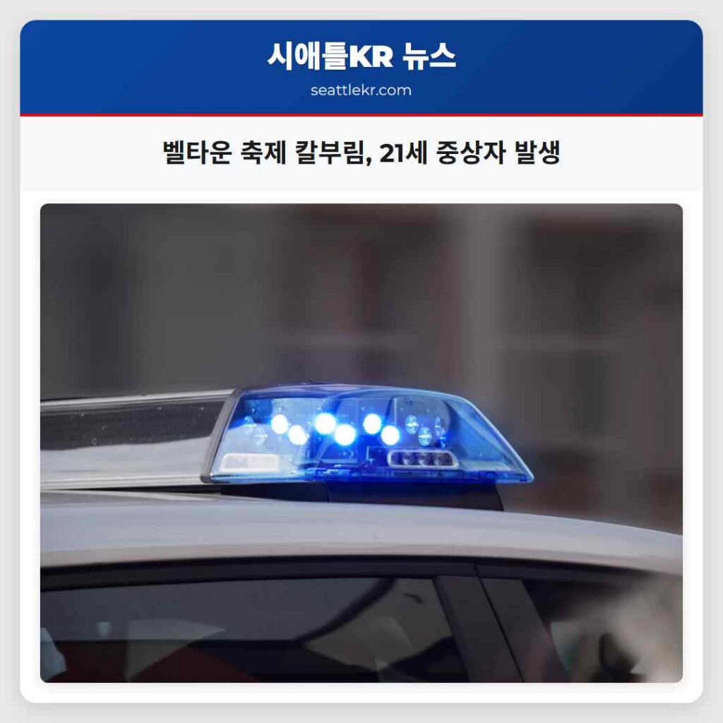 벨타운 축제 칼부림, 21세 중상자 발생