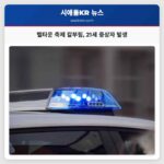 벨타운 축제 칼부림 21세 중상자 발생