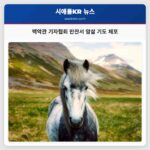 백악관 기자협회 만찬서 암살 기도 체포