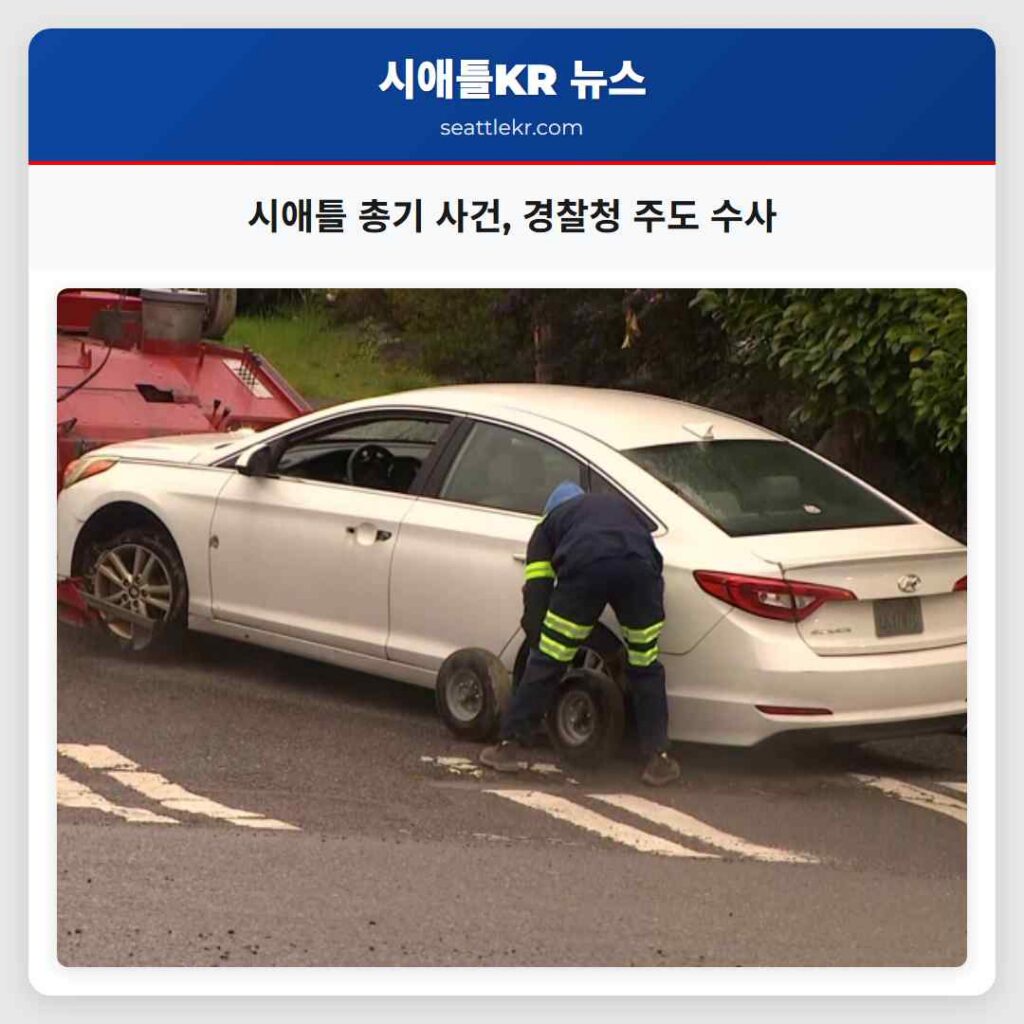 시애틀 총기 사건, 경찰청 주도 수사