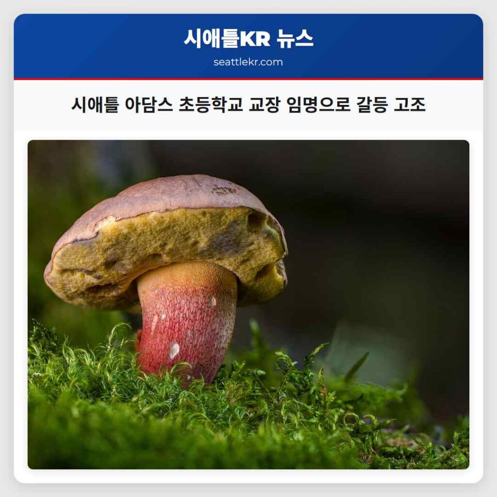 시애틀 아담스 초등학교 교장 임명으로 갈등 고조