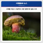 시애틀 아담스 초등학교 교장 임명으로 갈등 고조