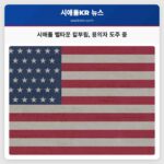 시애틀 벨타운 칼부림 용의자 도주 중