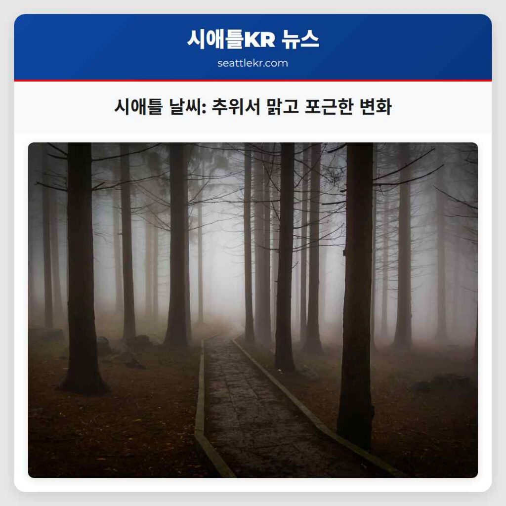 시애틀 날씨: 추위서 맑고 포근한 변화