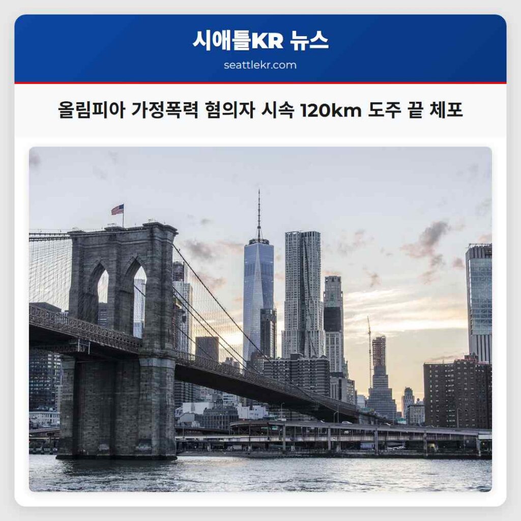 올림피아 가정폭력 혐의자 시속 120km 도주 끝 체포