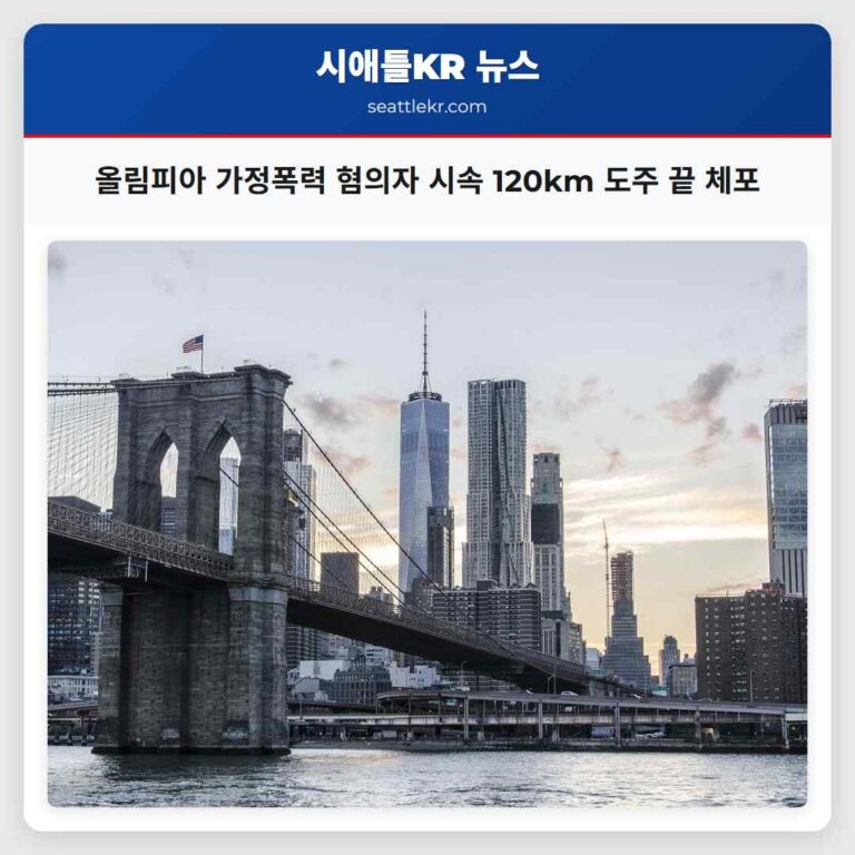 올림피아 가정폭력 혐의자 시속 120km 도주 끝 체포