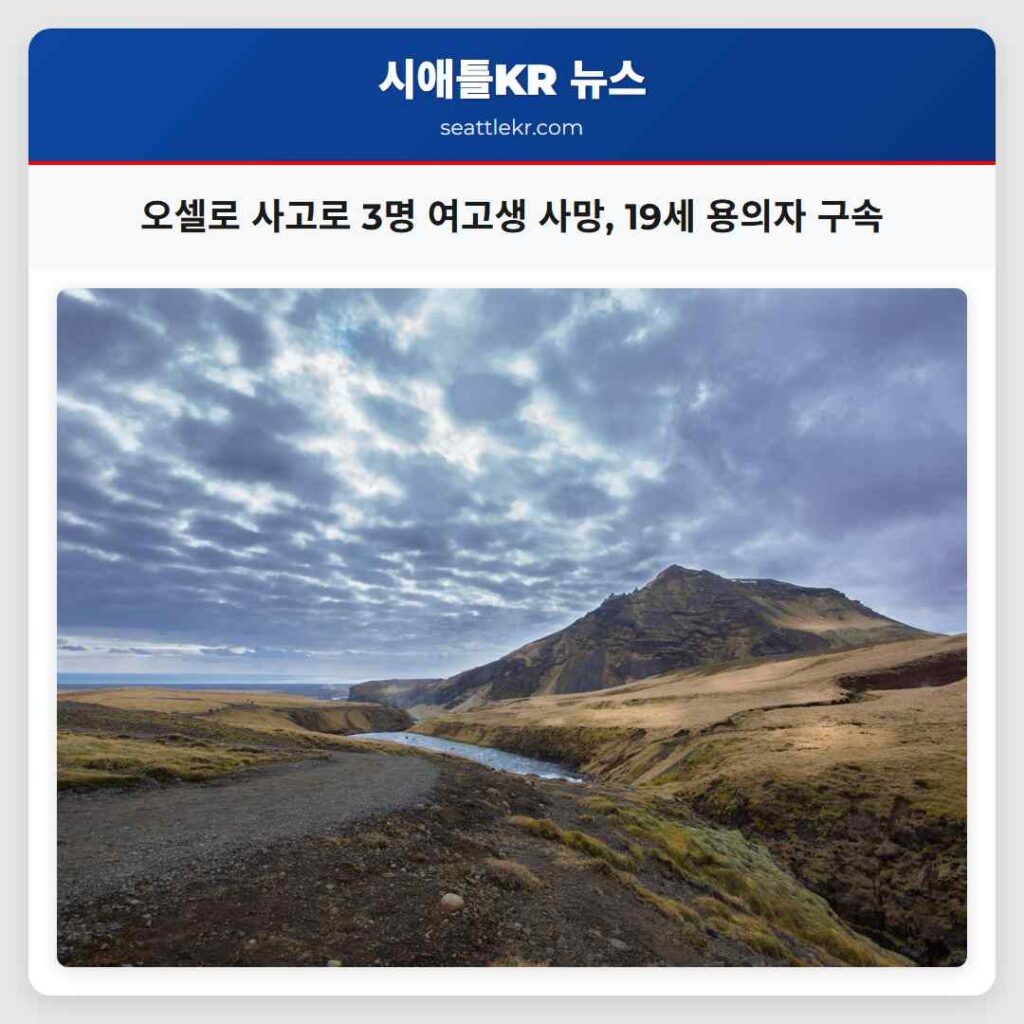 오셀로 사고로 3명 여고생 사망, 19세 용의자 구속