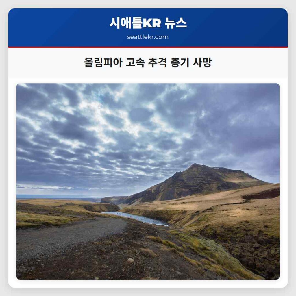 올림피아 고속 추격 총기 사망