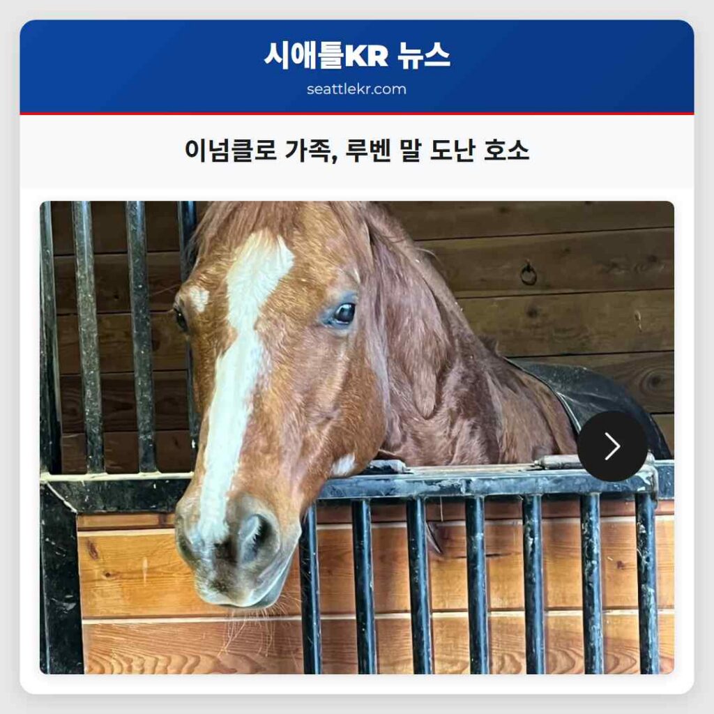 이넘클로 가족 사랑하는 말 루벤 되찾기 위해 지역사회에 호소