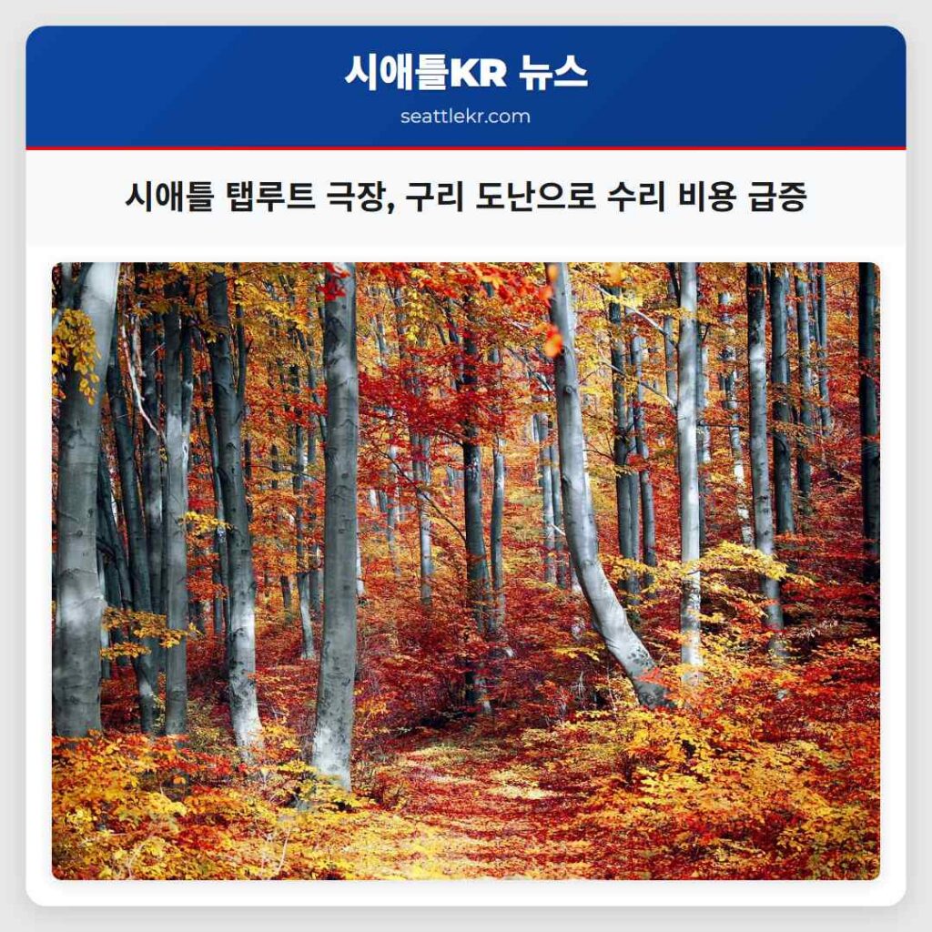 시애틀 탭루트 극장, 구리 도난으로 수리 비용 급증