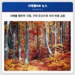 시애틀 탭루트 극장 구리 도난으로 수리 비용 급증