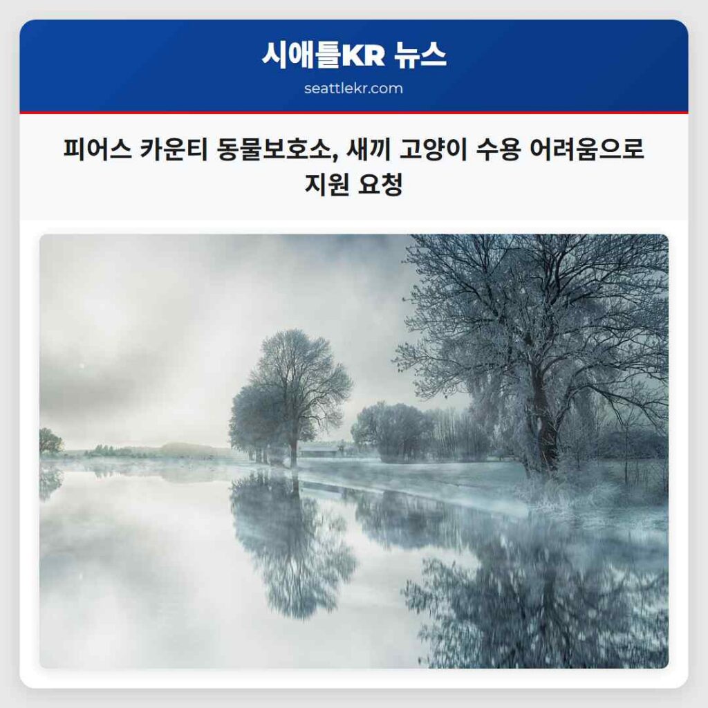 피어스 카운티 동물보호소, 새끼 고양이 수용 어려움으로 지원 요청