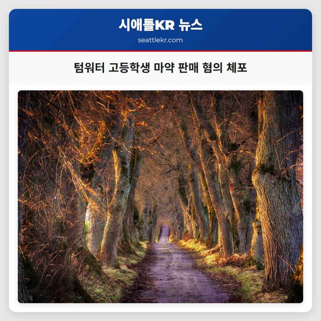 텀워터 고등학생 마약 판매 혐의 체포